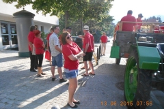 Musik Anschlagen 2015 Bild 4 Franz D